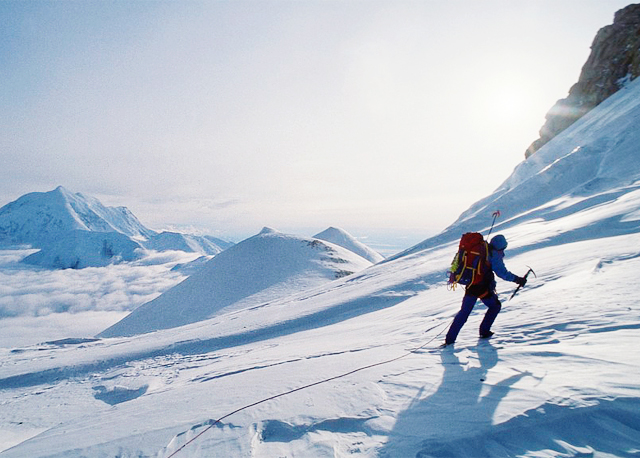 U8国际集团 农业数字化产品图